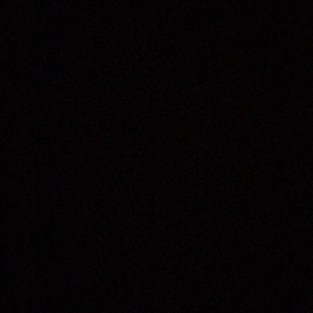 Meet your Posher, Callie